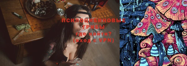 apvp Нея