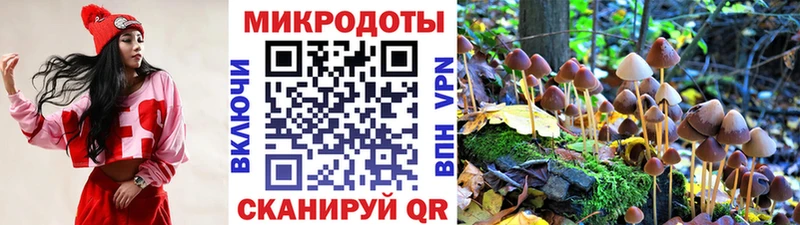 blacksprut ссылки  darknet телеграм  Галлюциногенные грибы мухоморы  купить наркотик  Новоульяновск 